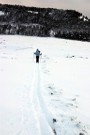 Debbie Cross Country Skiing, Balmoral Forest